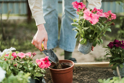 Midsection of man holding potted plant