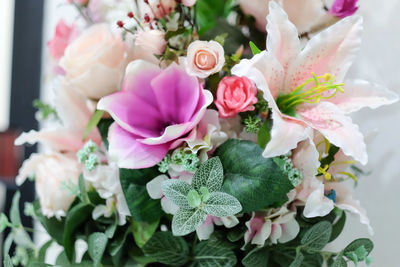 Close-up of pink roses