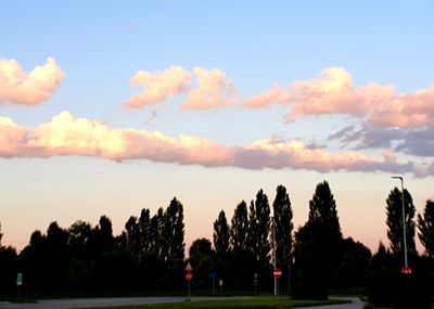 Silhouette trees against sky during sunset