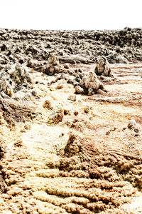 Surface level of rocks on beach against sky