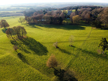 High angle view of grassy field