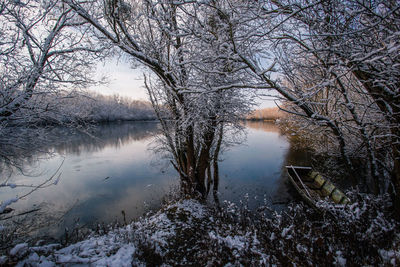 Scenic view of lake in forest during winter