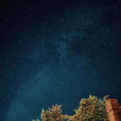 Low angle view of trees against star field