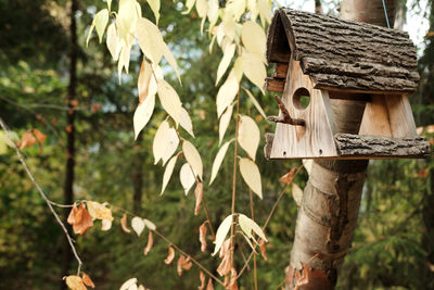 Birdhouse on tree in the park
