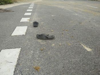 High angle view of zebra crossing on road