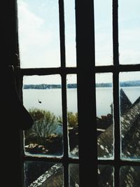 Silhouette of trees seen through window