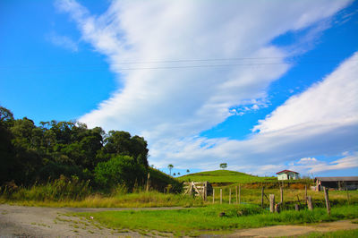 Trees on field against cloudy sky