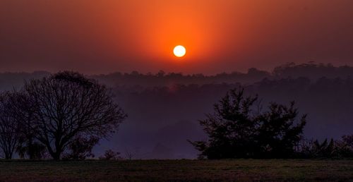 Silhouette trees on field against sky at sunset