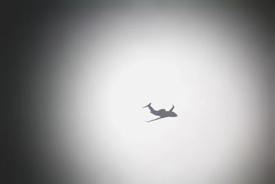 Low angle view of silhouette bird flying against clear sky