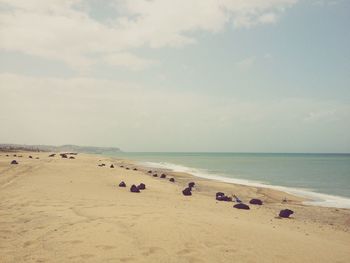 Scenic view of beach against sky