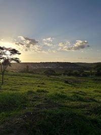 Scenic view of field against sky during sunset