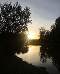 Silhouette trees by lake against sky during sunset