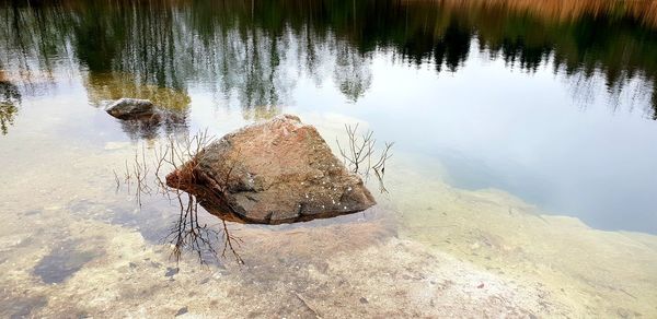 High angle view of rock by lake