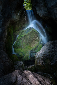 Scenic view of waterfall in forest