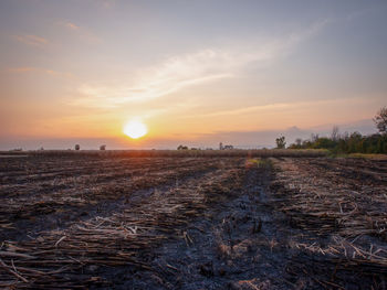 Scenic view of field against sky during sunset