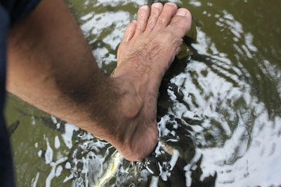 High angle view of person hand in lake