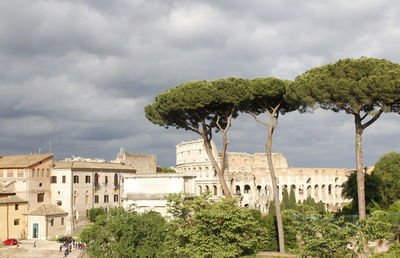 View of the roman forum and colosseum during sunset in rome, italy