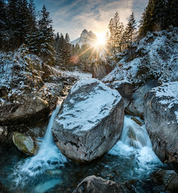 Snow covered rocks by trees during winter