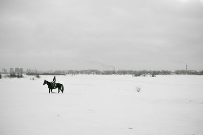 People riding horses on snow covered landscape