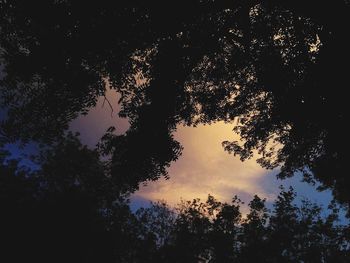 Low angle view of silhouette trees against sky at sunset