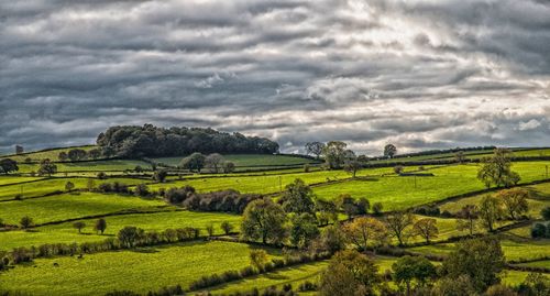 Scenic view of field against cloudy sky