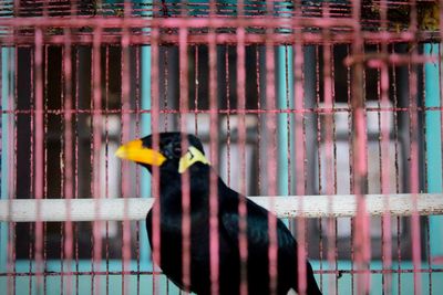 Close-up of cage in the dark