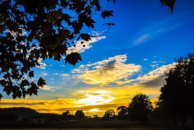 Low angle view of silhouette trees against sky at sunset