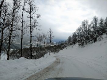 Snow covered road by trees against sky