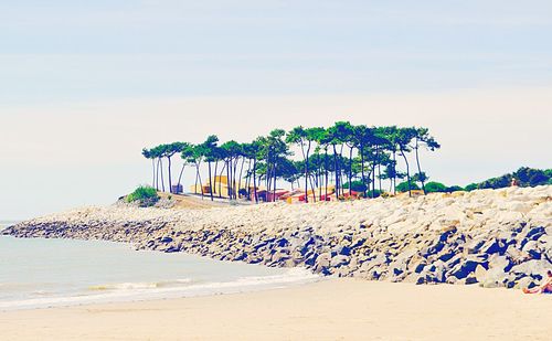 Scenic view of beach