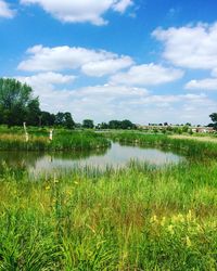 Scenic view of lake against sky