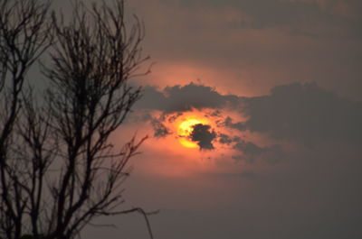 Silhouette bare tree against romantic sky at sunset