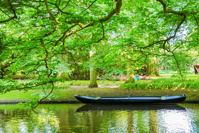 Scenic view of lake in forest