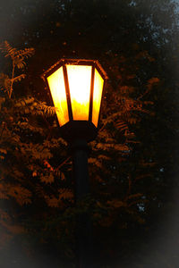 Illuminated street light at night