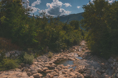 wilderness