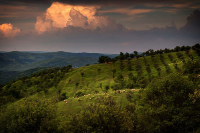 Scenic view of mountains against cloudy sky