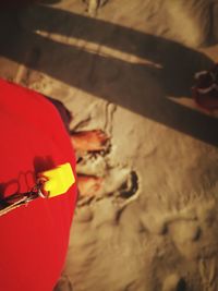 Close-up of hand holding red table