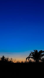 Silhouette plants on landscape against clear blue sky