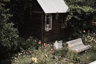 Old wooden house amidst plants and trees in yard