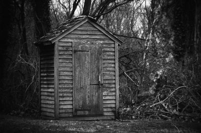 Old wooden house amidst trees in forest