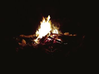 Bonfire at night