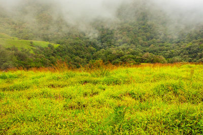 Mountain with green grass and amazing sky 