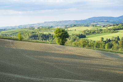 Road amidst agricultural field against sky