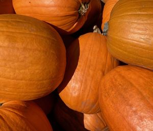 Full frame shot of pumpkins at market stall