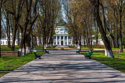 Footpath amidst trees