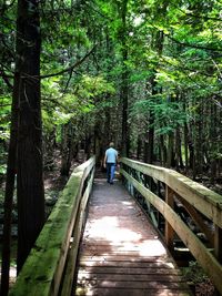 Rear view of woman walking on trees in forest