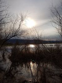 Reflection of bare trees in lake during sunset