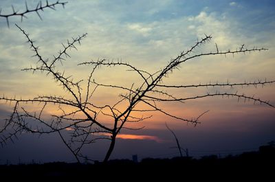 Silhouette of tree against sky during sunset