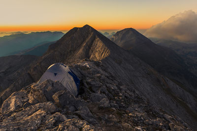 The foal "koncheto" ridge