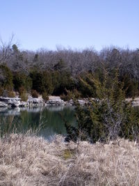 Scenic view of lake against clear sky