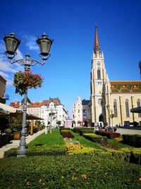 Flowering plants and buildings against blue sky